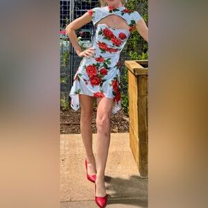 ASOS Light Blue Red Rose Floral Mini Dress 2 Mandarin Collar